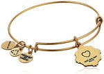 Alex and Ani Because I Love You Sister III Bangle