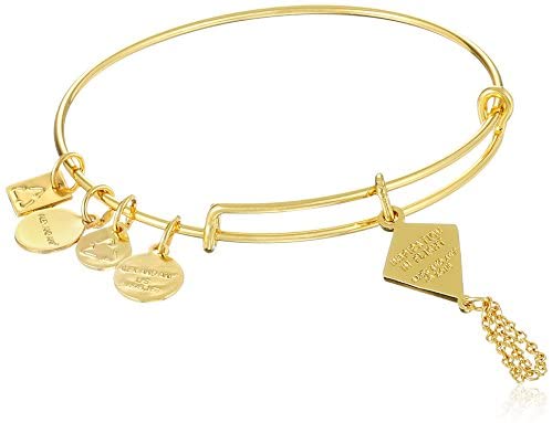 Alex and Ani Charity By Design Inspiration In Flight Bangle Bracelet