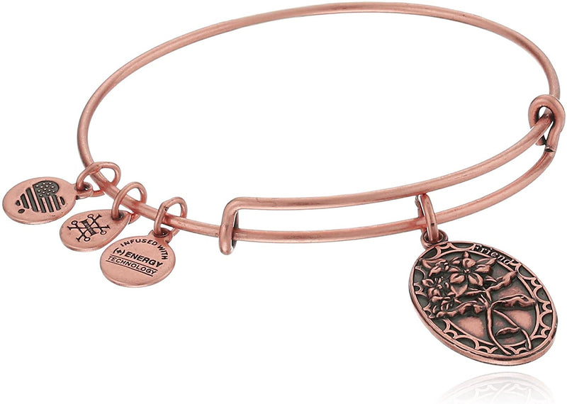 Alex and Ani Because I love you, Friend II Expandable Bracelet