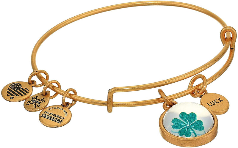 Alex and Ani Duo Charm Mantra Bangle Bracelet