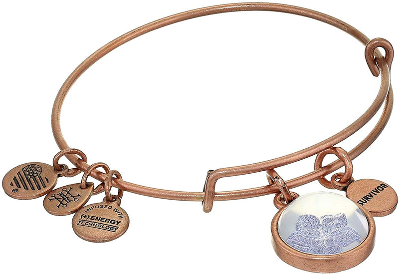 Alex and Ani Duo Charm Mantra Bangle Bracelet