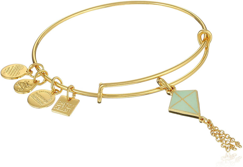 Alex and Ani Charity By Design Inspiration In Flight Bangle Bracelet