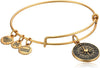 Alex and Ani True Direction Rafaelian Bangle Bracelet