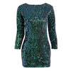 Sparkle and Shine Bodycon Dress