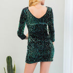 Sparkle and Shine Bodycon Dress